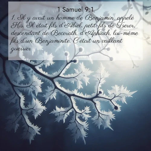 Segond21 1 Samuel  ; image nature: image avec le verset biblique :Il y avait un homme de Benjamin, appelé Kis. Il était fils d&#039;Abiel, petit-fils de Tseror, descendant de Becorath, d&#039;Aphiach, lui-même fils d&#039;un Benjaminite. C&#039;était un vaillant guerrier. ;  ; 9:1