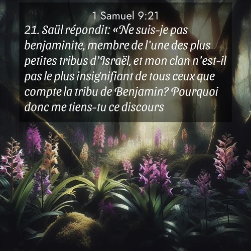 Segond21 1 Samuel  ; image nature: image avec le verset biblique :Saül répondit: «Ne suis-je pas benjaminite, membre de l&#039;une des plus petites tribus d&#039;Israël, et mon clan n&#039;est-il pas le plus insignifiant de tous ceux que compte la tribu de Benjamin? Pourquoi donc me tiens-tu ce discours?» ;  ; 9:21