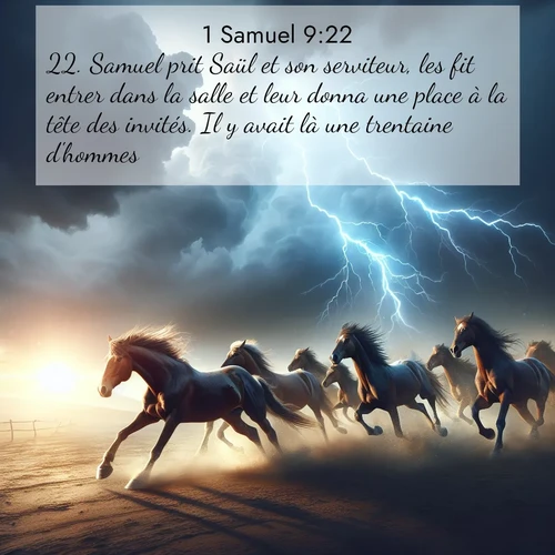 Segond21 1 Samuel  ; image nature: image avec le verset biblique :Samuel prit Saül et son serviteur, les fit entrer dans la salle et leur donna une place à la tête des invités. Il y avait là une trentaine d&#039;hommes. ;  ; 9:22