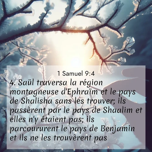 Segond21 1 Samuel  ; image nature: image avec le verset biblique :Saül traversa la région montagneuse d&#039;Ephraïm et le pays de Shalisha sans les trouver; ils passèrent par le pays de Shaalim et elles n&#039;y étaient pas; ils parcoururent le pays de Benjamin et ils ne les trouvèrent pas. ;  ; 9:4