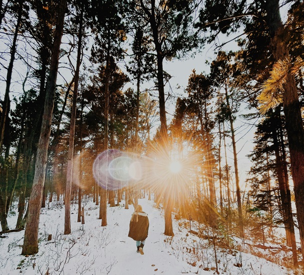 person walking in a winter forest during a camp, jeune qui se balade lors d'n camp, person walking in a winter forest during a camp / jeune qui se ballade lors d'un camp dans un forêt enneigé, illustre une personne qui s'amuse lors d'un camp