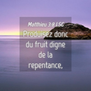 verset bibilique, sujet du culte, Matthieu 3:8 LSG
Produisez donc du fruit digne de la repentance,