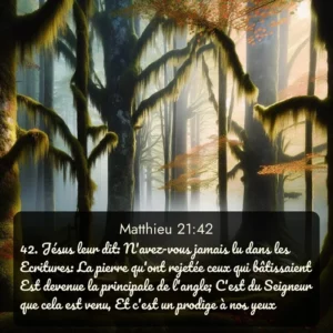 Le brouillard automnal enveloppe une forêt ancienne drapée de mousse et de lichen. Avec le verset biblique : 42. Jésus leur dit: N'avez-vous jamais lu dans les Ecritures: La pierre qu'ont rejetée ceux qui bâtissaient Est devenue la principale de l'angle; C'est du Seigneur que cela est venu, Et c'est un prodige à nos yeux? qui invite les personnes à venir à l'église Renens AB pour le culte de Dimanche