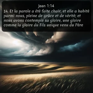 Les nuages d'orage s'amassent au-dessus des prairies balayées par le vent, l'herbe ondulant comme des vagues sous le ciel qui s'assombrit. Avec le verset biblique : 14. Et la parole a été faite chair, et elle a habité parmi nous, pleine de grâce et de vérité; et nous avons contemplé sa gloire, une gloire comme la gloire du Fils unique venu du Père. qui invite les personnes à venir à l'église Renens AB pour le culte de Dimanche