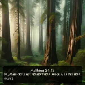 Les séquoias côtiers disparaissent dans le brouillard haut au-dessus d'un bosquet de fougères. Avec le verset biblique : 13. Mais celui qui persévérera jusqu'à la fin sera sauvé. qui invite les personnes à venir à l'église Renens AB pour le culte de Dimanche