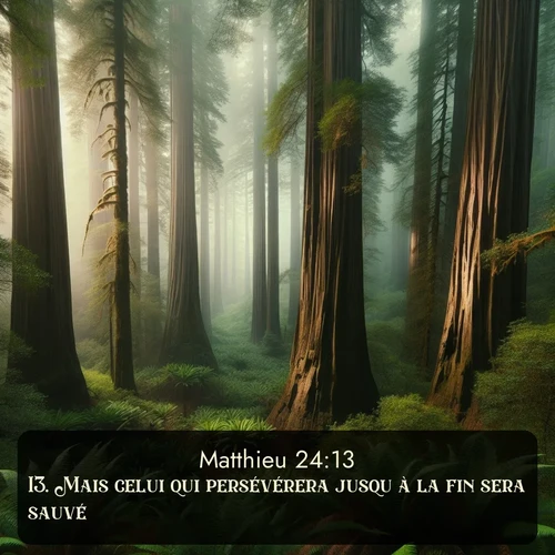 Les séquoias côtiers disparaissent dans le brouillard haut au-dessus d'un bosquet de fougères. Avec le verset biblique : 13. Mais celui qui persévérera jusqu'à la fin sera sauvé. qui invite les personnes à venir à l'église Renens AB pour le culte de Dimanche