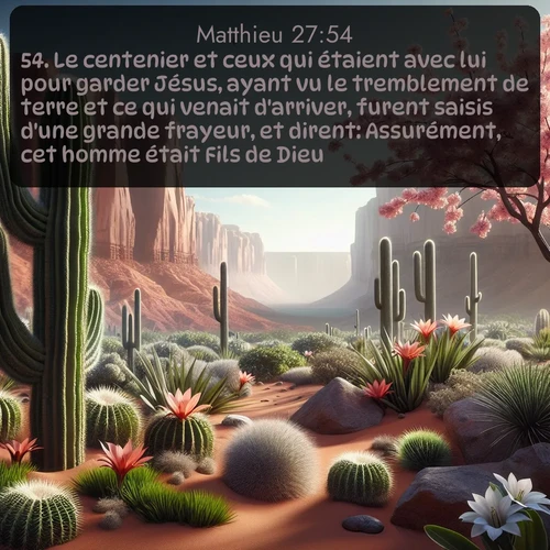 Les cactus du désert éclatent de fleurs printanières contre les formations de grès rouge. Avec le verset biblique : 54. Le centenier et ceux qui étaient avec lui pour garder Jésus, ayant vu le tremblement de terre et ce qui venait d'arriver, furent saisis d'une grande frayeur, et dirent: Assurément, cet homme était Fils de Dieu. qui invite les personnes à venir à l'église Renens AB pour le culte de Dimanche