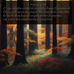 La pluie automnale assombrit les troncs d'arbres dans la forêt. Avec le verset biblique : 20. qui autrefois avaient été incrédules, lorsque la patience de Dieu se prolongeait, aux jours de Noé, pendant la construction de l'arche, dans laquelle un petit nombre de personnes, c'est-à-dire, huit, furent sauvées à travers l'eau. qui invite les personnes à venir à l'église Renens AB pour le culte de Dimanche